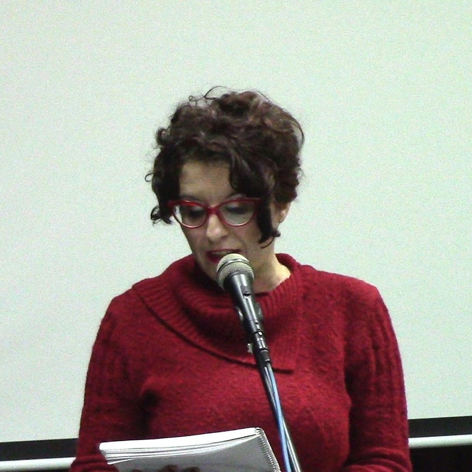 Dragana Vidojković o knjizi